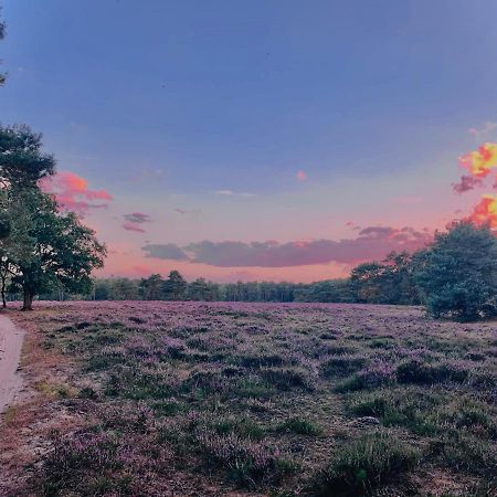 Sluwe Vos: Ontspannen In Het Bos! Otterlo Exterior photo