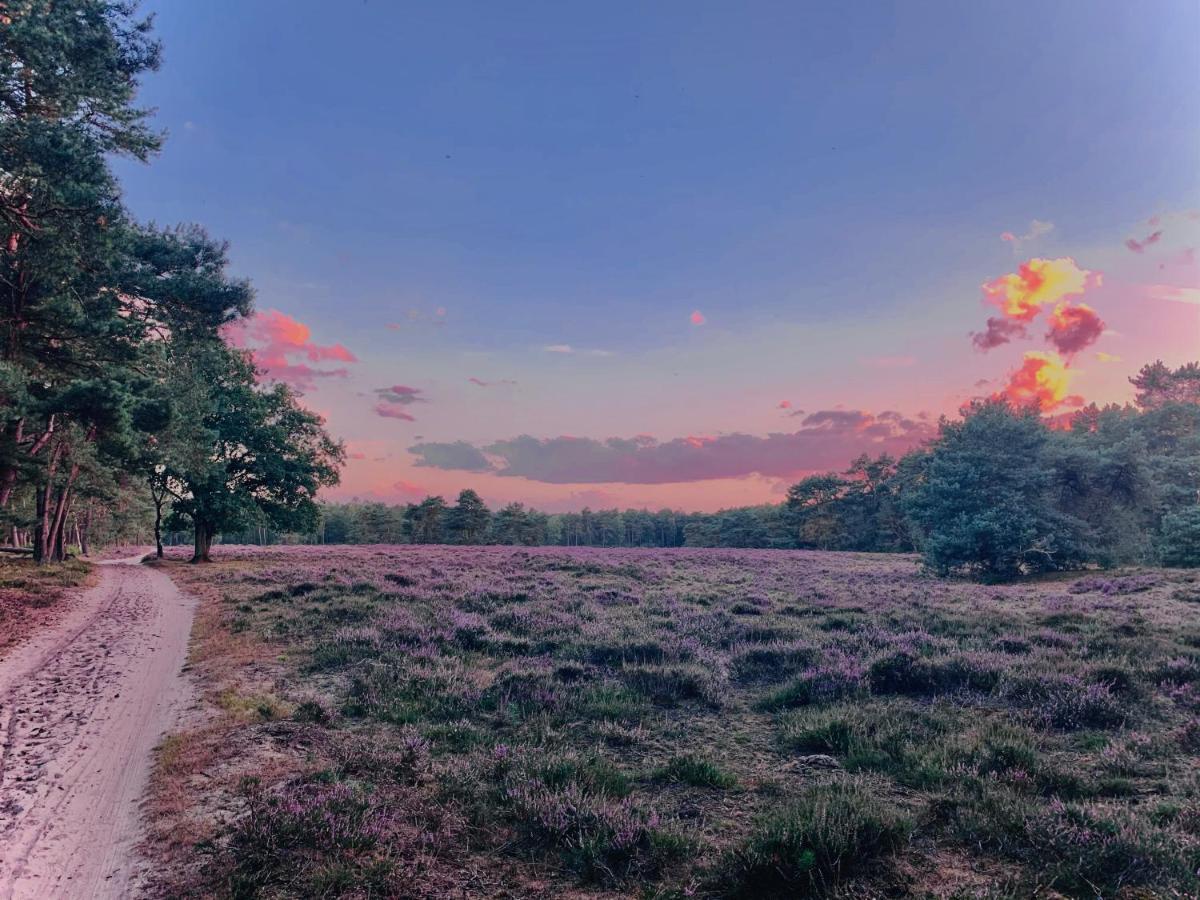 Sluwe Vos: Ontspannen In Het Bos! Otterlo Exterior photo