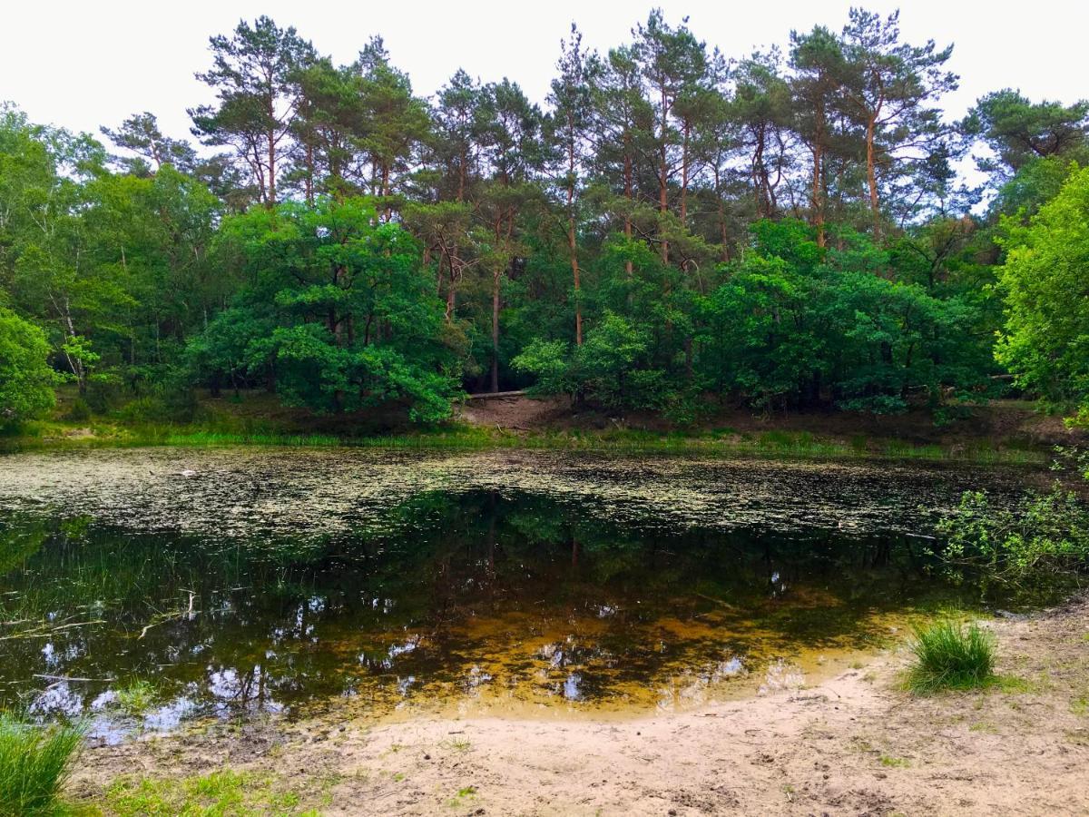 Sluwe Vos: Ontspannen In Het Bos! Otterlo Exterior photo